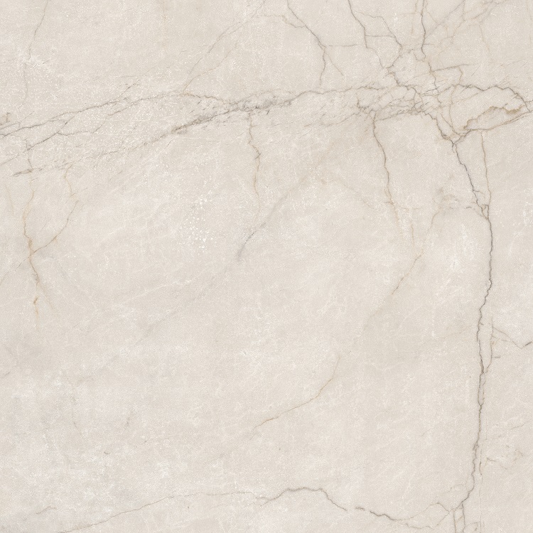 48 x 48 Class Avorio POLISHED Rectified Porcelain tile 